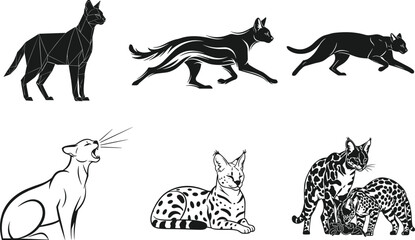 cat silhouette, wild cat vector, pet clipart, flat vector, black cat, animal silhouette, domestic cat, predator mammal, nature icon, feline artwork