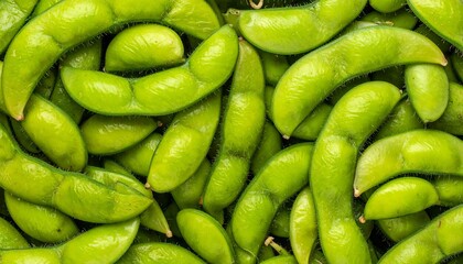 Edamame green beans background. Suitable for marketing or business purposes. Panoramic banner with place for text