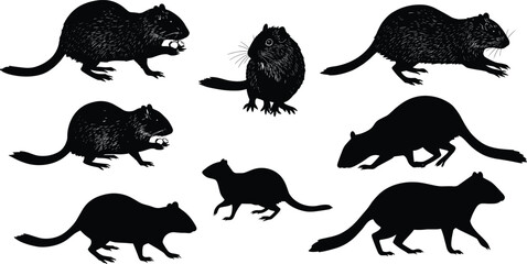 Fox wildlife illustration sequence, animal behavior poses, running, howling, resting, sleeping, feeding, nature silhouette, carnivore vector art, wild mammal sketch