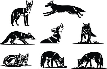 Fox wildlife illustration set, animal behavior poses, hunting, resting, sniffing, grooming, nature silhouette, carnivore vector art, wild mammal sketch, geometric style