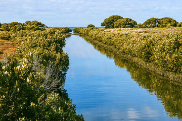 canal through swamp land to the sea at Williamstown