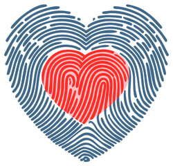 Obraz premium Abstract digital illustration of a heart shape crafted from red and blue fingerprint patterns