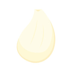 Garlic on white background. Garlic slice vector.