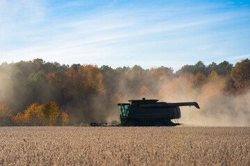 Naklejka premium Summer harvest. Fields with harvest wheat. Combine harvester in a wheat field. Harvest on rural farm. Combine harvester machinery. Combine harvester at work. Rural landscape with a harvest.