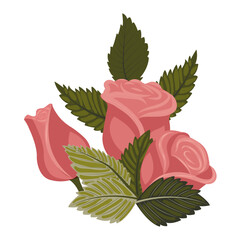 A composition of delicate dusty pink roses, a bud, and leaves. Vector illustration on a white background.