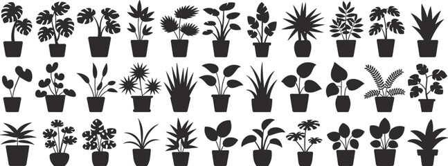House plant silhouettes, indoor potted plants, botanical decoration, tropical leaf vector, nature design elements, black plant icons, home greenery illustration
