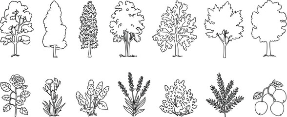 Tree and plant illustration, flower drawing, nature outline, garden clipart, eco friendly vector, foliage design, fruit sketch, outdoor greenery, botanical art, landscape