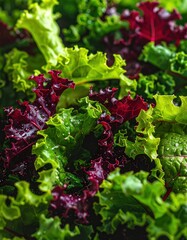 Vibrant close-up of curly green and purple kale leaves, creating a textured and visually appealing pattern. Crisp and fresh appearance