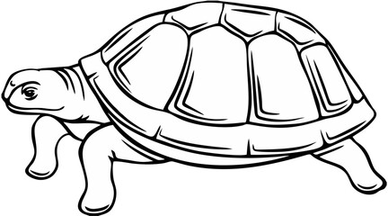 Turtle Outline Icon - Animal.eps