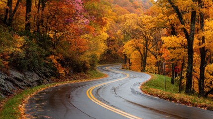 Obraz premium 秋の紅葉に包まれた曲がりくねった道路風景。季節感を伝える自然や旅行関連の素材