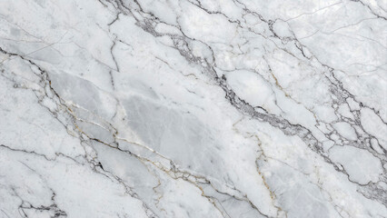 White Marble Texture with Natural Gray Veins