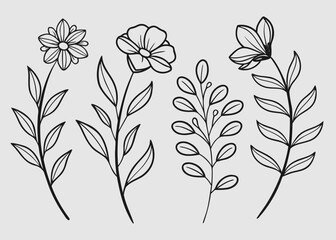 Hand Drawn Botanical Elements Featuring Flowers and Leaves in Outline Style floral branch