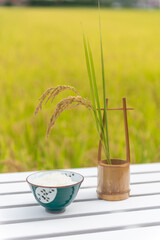 秋の田んぼと新米