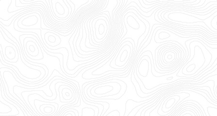 White topography topology vector white background, Topography background. Vector banner. contour line.