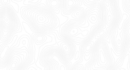 Obraz premium White topography topology vector white background, Topography background. Vector banner. contour line.