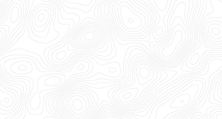 Modern design with White background with topographic wavy pattern design. Luxury black abstract line art, White topography topology vector white background.
