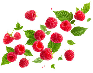 Ripe red raspberries with fresh mint on a white background