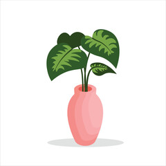 Alocasia Decorative Plant on a Pot Colored Flat Illustration