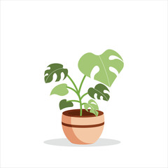 Monstera Adansoni Decorative Plant on a Pot Colored Flat Illustration