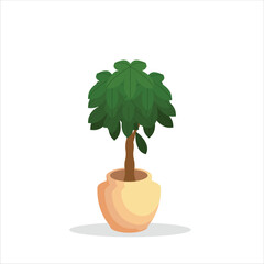 Money Tree Decorative Plant on a Pot Colored Flat Illustration