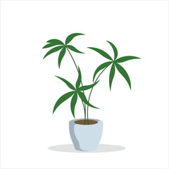 Cannabis Decorative Plant on a Pot Colored Flat Illustration