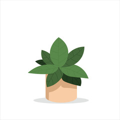 Monstera Karstenianum Decorative Plant on a Pot Colored Flat Illustration