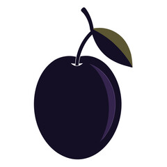damson plum fruit silhouette on white background
