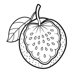 illustration of a decaisnea fruit line art