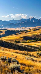 A golden, hilly grassland sweeps upward to a distant mountain range under a bright blue sky, dotted with clouds