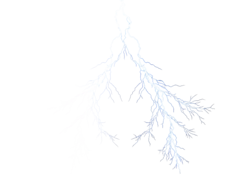 Illustration of delicate frostcovered branches of a tree isolated on a pure transparent background, capturing the intricate details of winters icy touch on transparent background