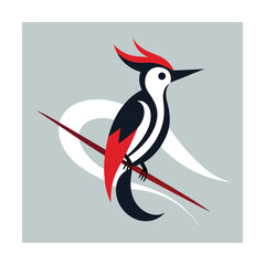 Woodpecker with red crest on branch Keywords: woodpecker, bird, red, black, white, crest, beak