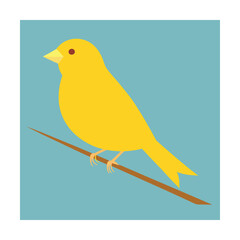 Yellow Canary Bird Perched on Branch Keywords: canary, bird, animal, wildlife, nature, perched