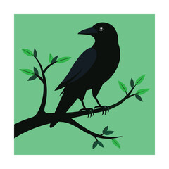 Black Crow Perched On A Branch With Green Leaves Keywords: bird, black, crow, raven, perched