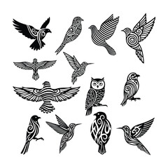 Collection of black and white stylized bird illustrations with tribal patterns hummingbird eagle © MdMaynul