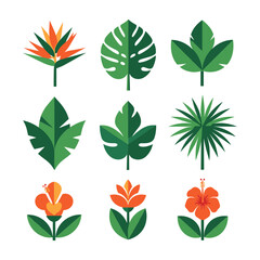 Collection of stylized tropical leaves and flowers in green orange and yellow tropical flowers bird of paradise