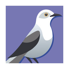 White Wagtail Bird Illustration pied wagtail avian