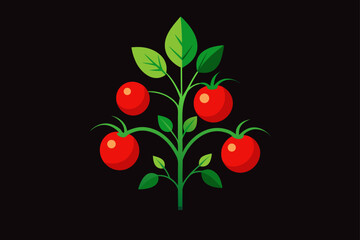 radiant tomato plant bursting with red fruit in dr