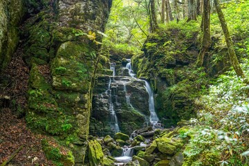 静寂に包まれた蓼仙（りょうせん）の滝の情景