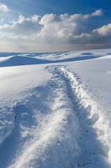 snow covered mountains