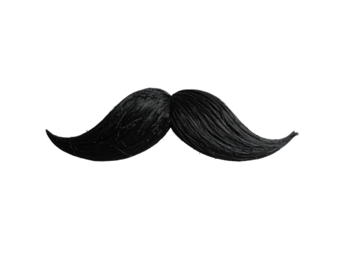 Classic black curled mustache prop isolated on white background, ideal for disguise, parties, barbershop themes, or movember awareness campaigns.
