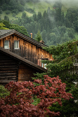 Wooden Chalet Surrounded by Misty Forest in Grindelwald, Switzerland