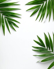 Three clusters of bright green palm fronds diagonally frame an empty, bright white space, creating a simple, fresh, organic, natural design