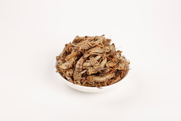 Fresh Grasshoppers in Bowl - Shandong Province China Edible Insects Traditional Protein Farm Food
