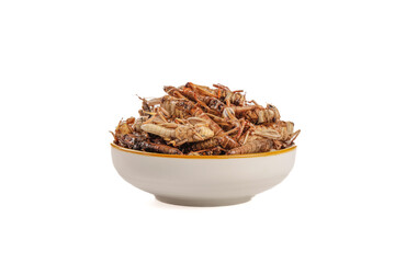 Fried Grasshoppers and Crickets in Bowl - Traditional Shandong China Edible Insects Snack on White Background