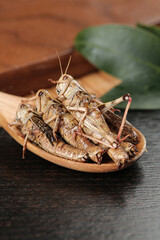 Fried Grasshoppers Traditional Asian Cuisine Shandong Province Edible Insects Alternative Protein Food © HoangVan