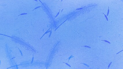 Light pastel abstract texture background with dreamy design.