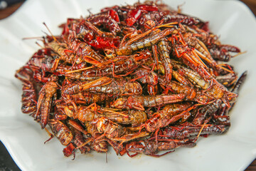 Stir-Fried Grasshoppers Traditional Chinese Shandong Cuisine Exotic Insect Food Dish