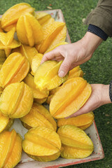 Fresh Dragon Fruit Harvest Zhangzhou Fujian - Sweet Golden Tropical Fruit Hand Picking from Wooden Crate