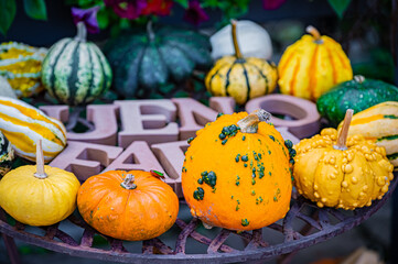 Autumn Pumpkin Patch at Ueno Farm, Hokkaido, Japan – Fall Harvest Landscape