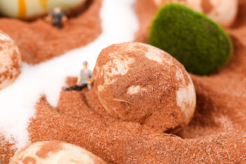 Gaoyou Salted Duck Eggs in Red Clay Salt with Miniature Figure - Traditional Chinese Preserved Food
